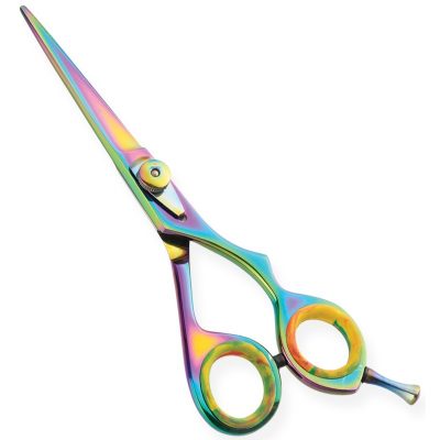 Professional Hair Cutting Scissors