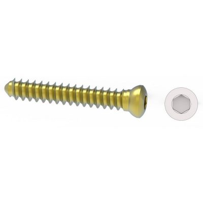 Bone Screws