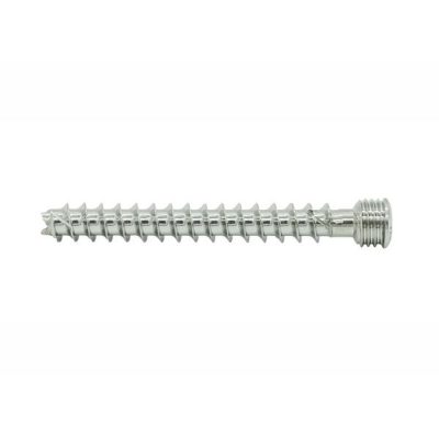 Locking Screws