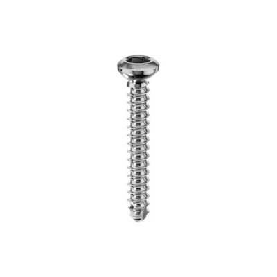 Bone Screws