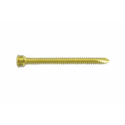 Locking Screws