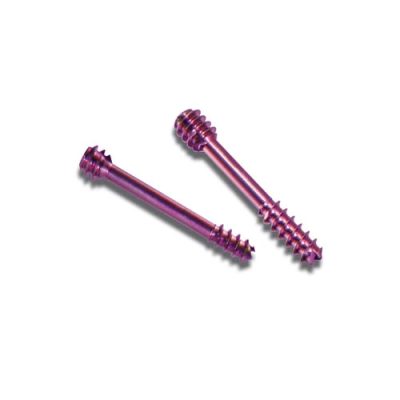 Bone Screws